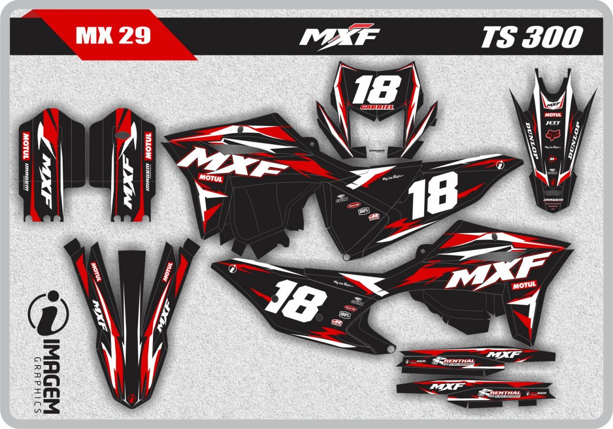 MX 29 MXF 300 TS