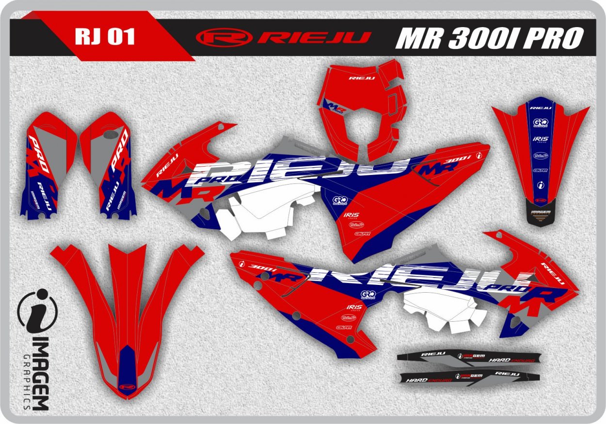 RJ 01 RIEJU MR 300I PRO